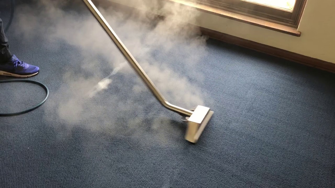 Professional carpet steam cleaning services
